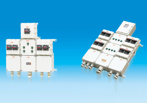 BXX51-F系列粉塵防爆動(dòng)力檢修箱（DIP）
